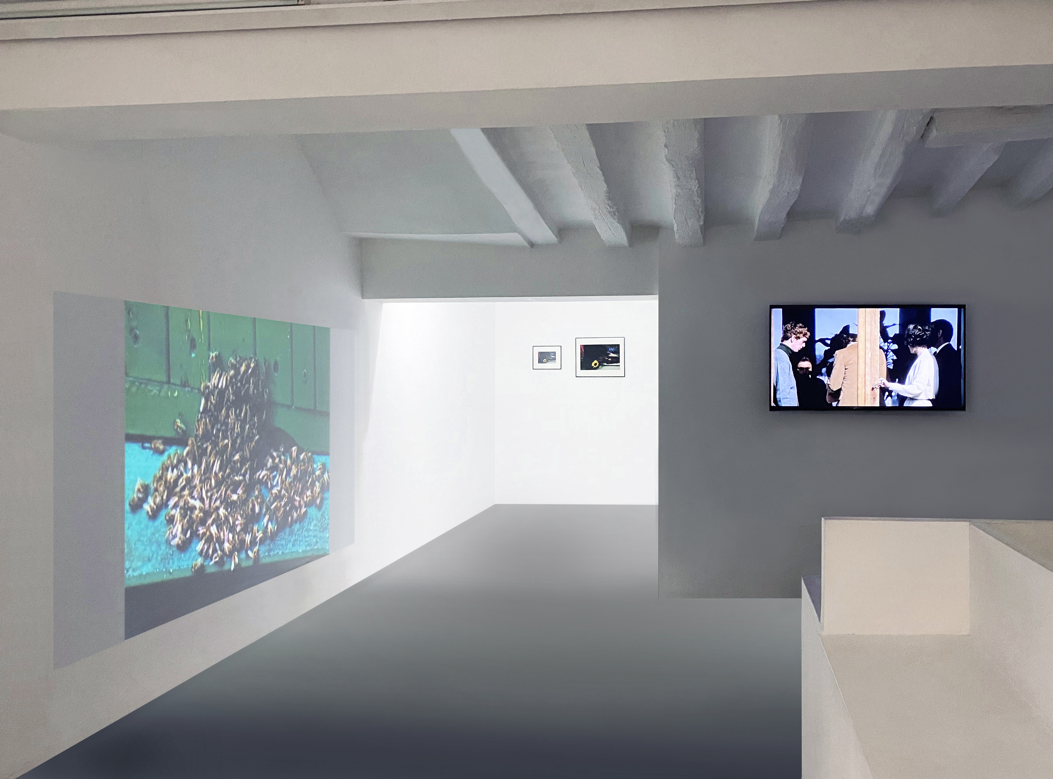 Marta Skoczeń Skoczen group show Paris Galerie Dohyang Lee projections