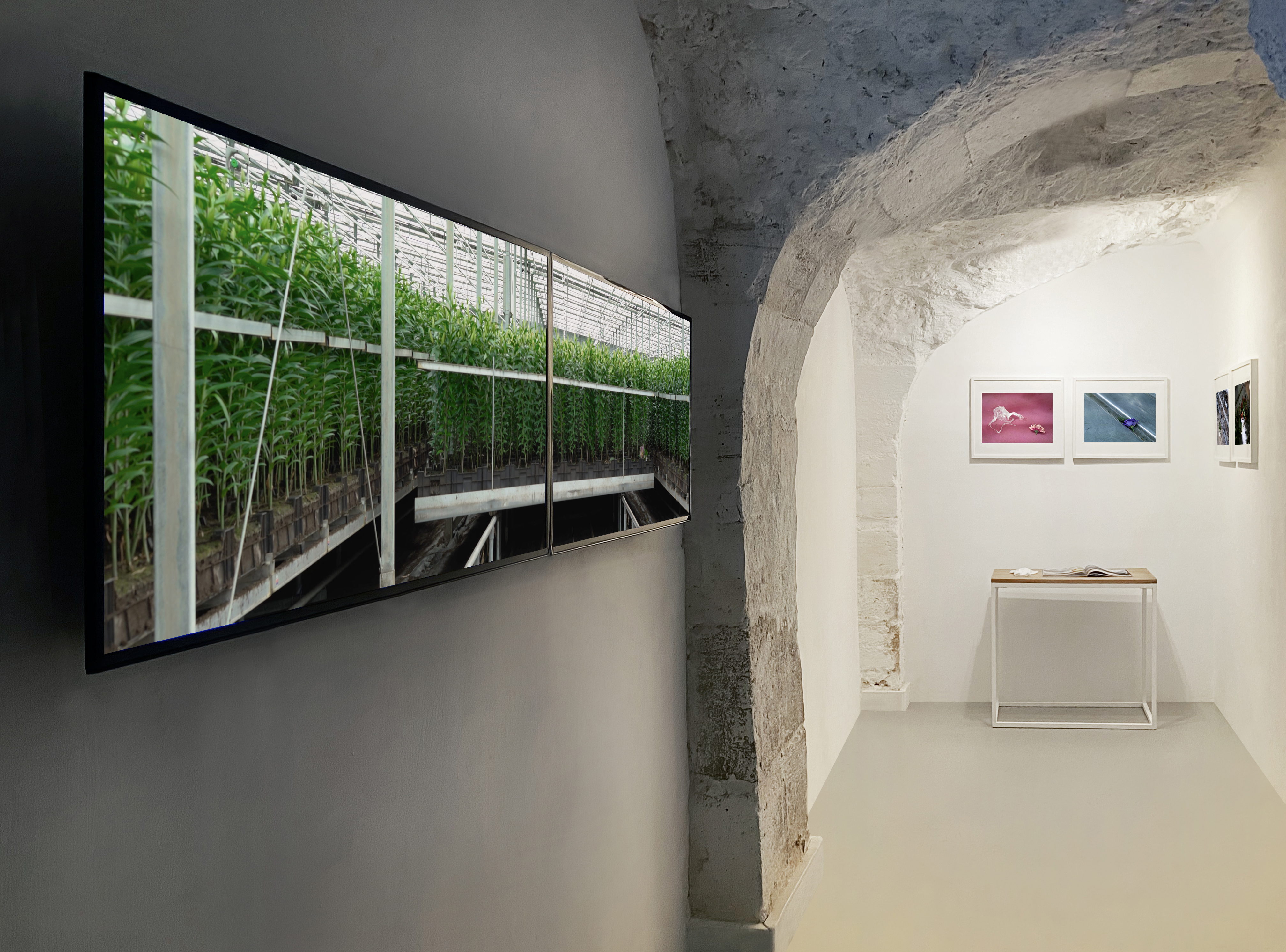 Marta Skoczeń Skoczen group show Paris Galerie Dohyang Lee projections