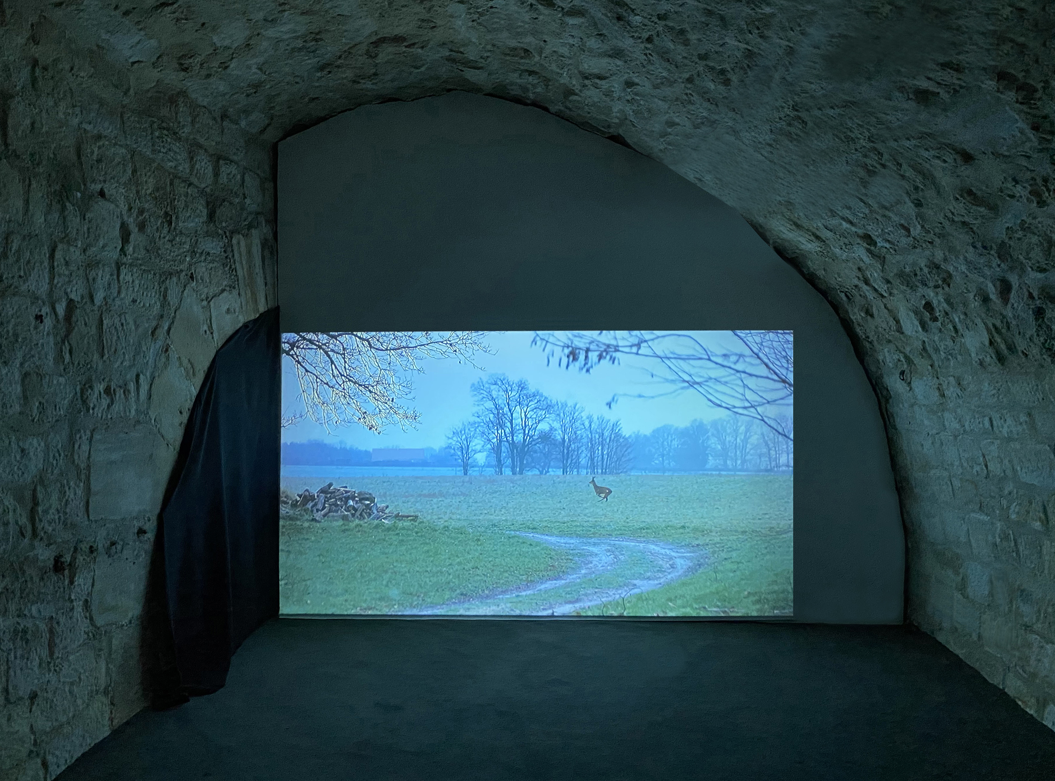 Marta Skoczeń Skoczen group show Paris Galerie Dohyang Lee projections